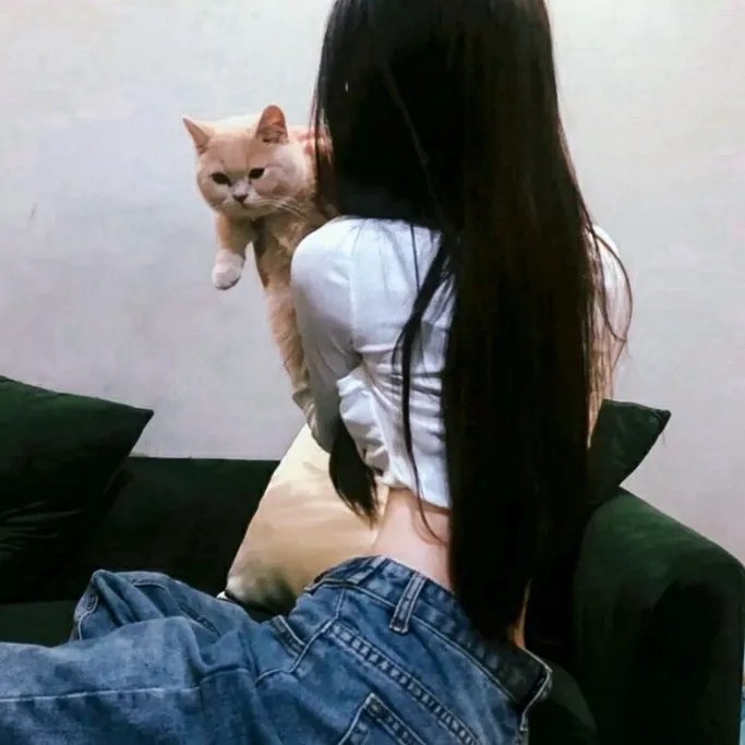 就爱你的谎